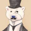 MrPolarBearJ