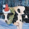 holiestcow